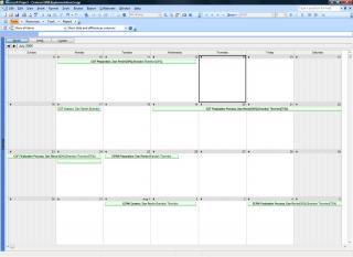 Project Calendar