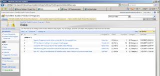 Project Web Access - Risks